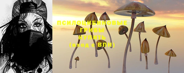 тгк Алзамай